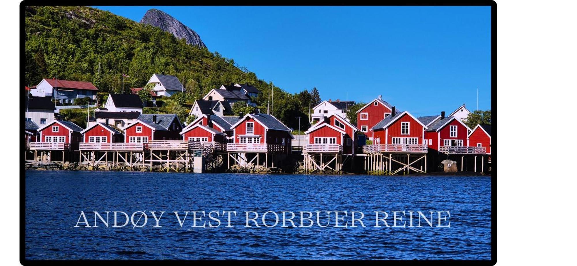 Andoy Vest Rorbuer Reine 빌라 외부 사진